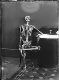 Skeleton in chair