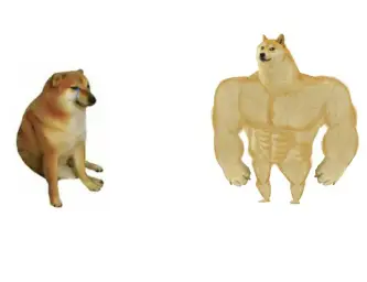 Cheems vs Buff Doge