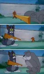 Tom Jerry Spike