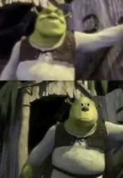 Shocked Shrek Face Swap