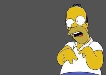 Homer Simpsons dumb face