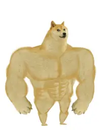 Buff doge