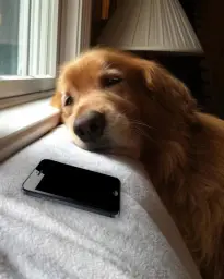 Waiting by the phone