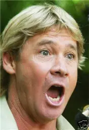 Steve Irwin shocked