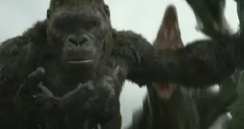 Kong looking at his life problems