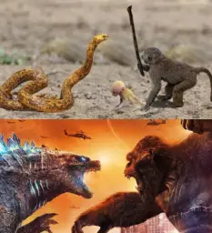 Godzilla vs. King Kong