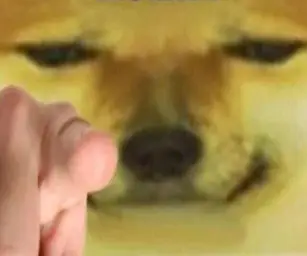 Pointing Doge