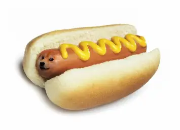 doge hot doge