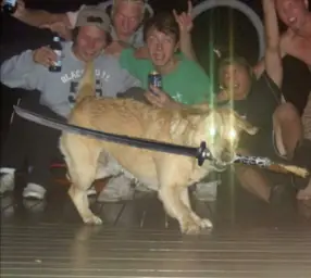 Dog with sword and glowing eyes