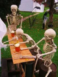 skeletons-drinking