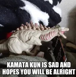 Kamata kun is sad and hopes you will be alright