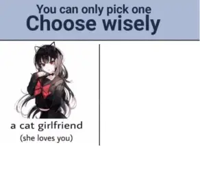 Choose wisely