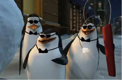 Madagascar Penguins