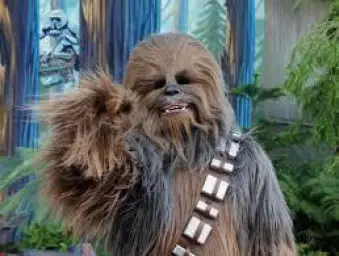 Chewbacca laughing