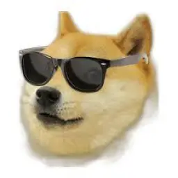 MLG DOGE