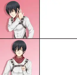 Mikasa meme