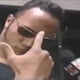 The Rock eyebrow gif