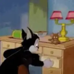 tom and jerry search