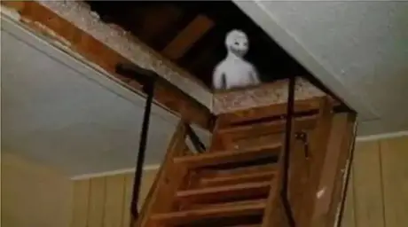 wojak attic