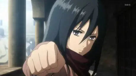 Mikasa Ackerman Brofist