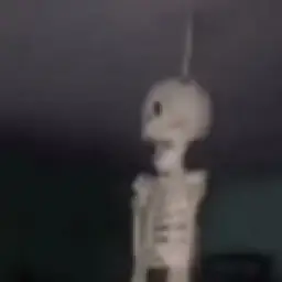 Skeleton on the fan