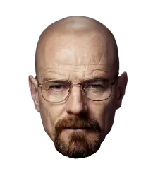 Walter white