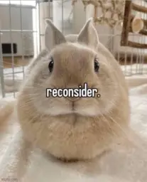 reconsider