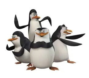 Madagascar penguins