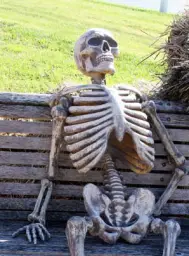 The Waiting Skeleton