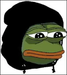 pepe in hoodie