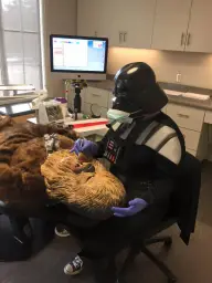 Star Wars Vader Chewie Dentist