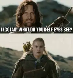 Elf eyes see