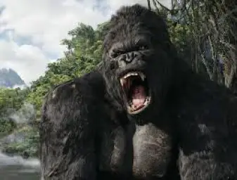 king kong