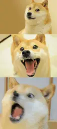 Bad Pun Doge