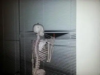 Skeleton looking through blinds