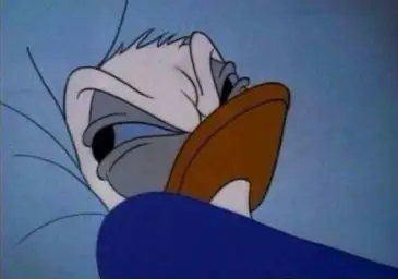 angry donald duck