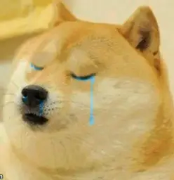 sad doge