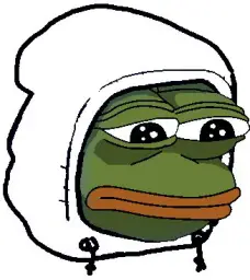 Pepe hoodie