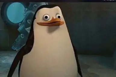 Madagascar penguin