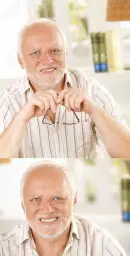 Hide the pain Harold - 2 part