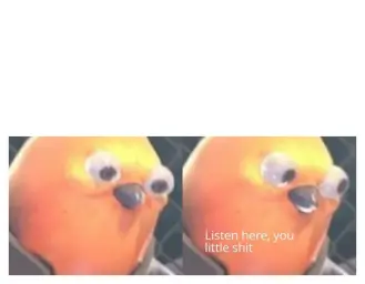 Listen Here You Little Bird