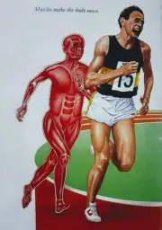 Muscle Man Chasing Runner