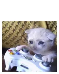 Sad Gaming Cat