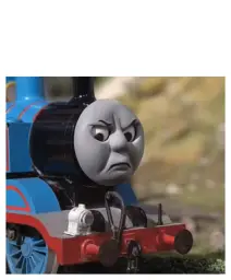 Thomas Had Never Seen Such Bullshit Before