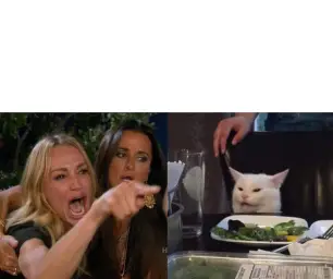 Two Women Yelling at a Cat