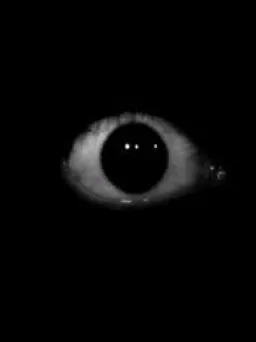 EYE_MEMER profile picture