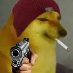scxhdbdbdb profile picture