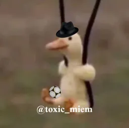 toxic_meme profile picture