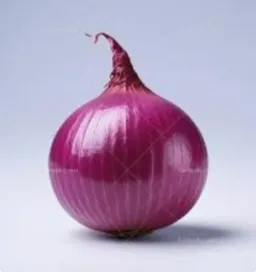onion profile picture