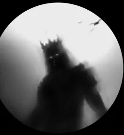 reza.dark profile picture